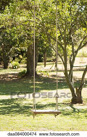 Picture - Tree swing in park. Fotosearch