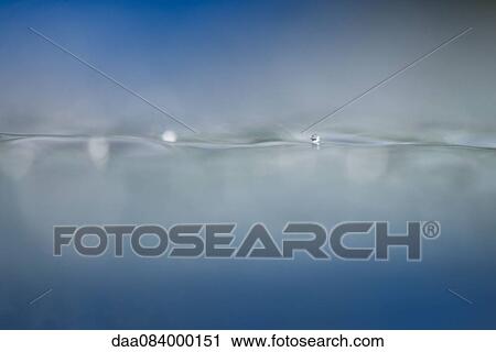 Water at surface level, close-up View Large Photo Image Stock Image - Water at surface level, close-up. Fotosearch