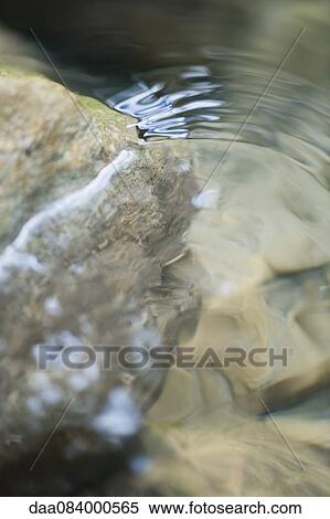 Stock Photography - Water, close-up. Fotosearch
