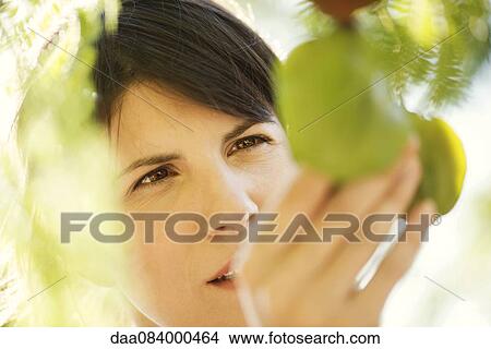 Woman touching foliage View Large Photo Image Picture - Woman touching foliage. Fotosearch
