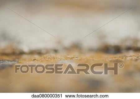 Abstracted surface View Large Photo Image Stock Image - Abstracted surface. Fotosearch