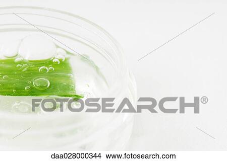 Aloe vera gel View Large Photo Image Picture - Aloe vera gel. Fotosearch