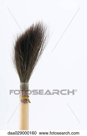 Stock Image - Artist's paintbrush, close-up. Fotosearch