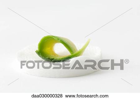 Avocado slice on cotton cosmetic pad, close-up View Large Photo Image Stock Photo - Avocado slice on cotton cosmetic pad, close-up. Fotosearch
