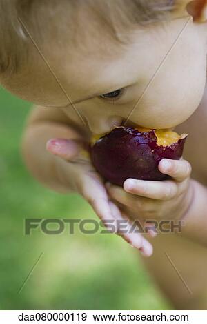 Baby girl eating plum, cropped View Large Photo Image Stock Photo - Baby girl eating plum, cropped. Fotosearch
