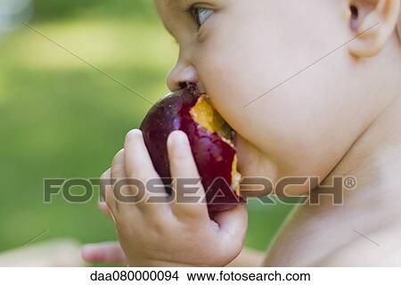 Picture - Baby girl eating plum, side view. Fotosearch