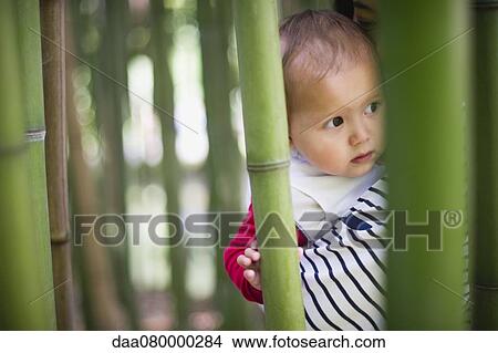 Picture - Baby girl in bamboo grove. Fotosearch