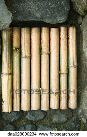 Bamboo lined up on stones, close-up View Large Photo Image Picture - Bamboo lined up on stones, close-up. Fotosearch
