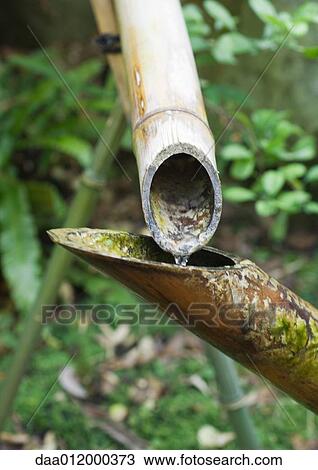 Bamboo water pipes View Large Photo Image Stock Image - Bamboo water pipes. Fotosearch