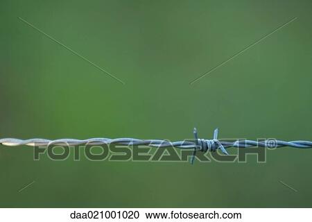 Barbed wire, close-up View Large Photo Image Stock Image - Barbed wire, close-up. Fotosearch