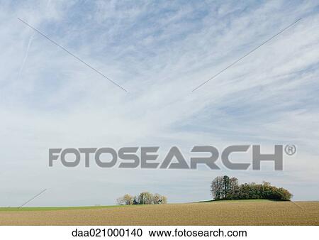 Stock Image - Bare fields and groves of trees. Fotosearch