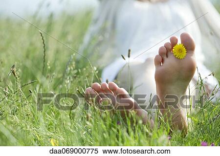 Barefoot woman sitting in grass, holding dandelion flower between toes View Large Photo Image Stock Photography - Barefoot woman sitting in grass, holding dandelion flower between toes. Fotosearch