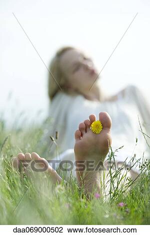 Barefoot young woman sitting in grass, holding dandelion flower between toes View Large Photo Image Stock Image - Barefoot young woman sitting in grass, holding dandelion flower between toes. Fotosearch