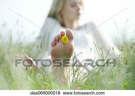 Stock Photo - Barefoot young woman sitting in grass with dandelion flower between toes, cropped. Fotosearch