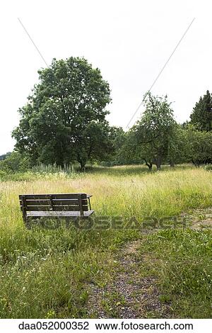 Bench in overgrown field View Large Photo Image Stock Image - Bench in overgrown field. Fotosearch