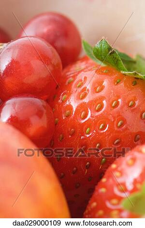 Stock Photo - Berries, extreme close-up. Fotosearch