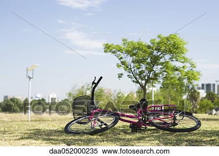 Stock Photography - Bicycle lying on its side on grass in park. Fotosearch