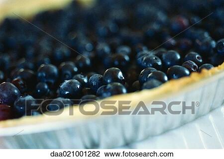 Blueberry pie View Large Photo Image Stock Image - Blueberry pie. Fotosearch