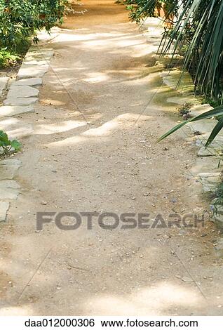 Bordered walkway View Large Photo Image Stock Photograph - Bordered walkway. Fotosearch