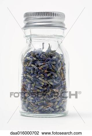 Bottle containing lavender flowers View Large Photo Image Stock Image - Bottle containing lavender flowers. Fotosearch