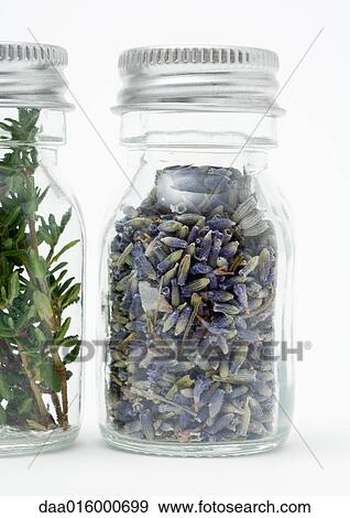 Bottles of dried flowers and herbs View Large Photo Image Stock Photo - Bottles of dried flowers and herbs. Fotosearch