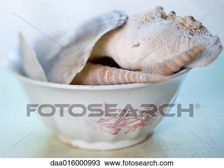 Bowl of seashells View Large Photo Image Stock Image - Bowl of seashells. Fotosearch
