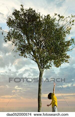 Picture - Boy beneath tree reaching for branches. Fotosearch