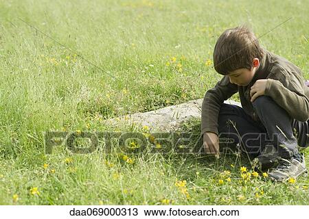 Boy crouching in grass, looking at something on the ground View Large Photo Image Stock Image - Boy crouching in grass, looking at something on the ground. Fotosearch