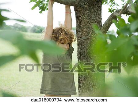 Picture - Boy hanging from tree. Fotosearch