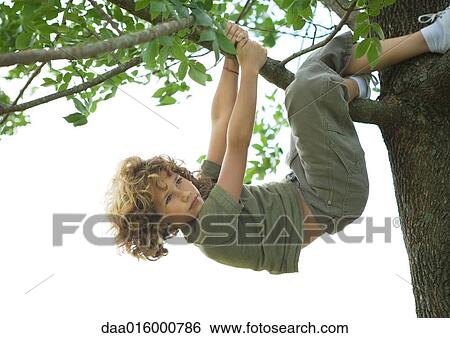 Boy hanging from tree View Large Photo Image Stock Photograph - Boy hanging from tree. Fotosearch