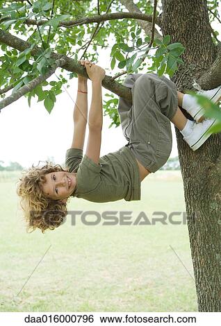 Boy hanging from tree View Large Photo Image Stock Photograph - Boy hanging from tree. Fotosearch