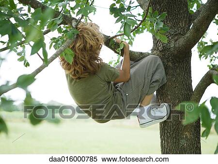 Boy hanging from tree View Large Photo Image Stock Photography - Boy hanging from tree. Fotosearch