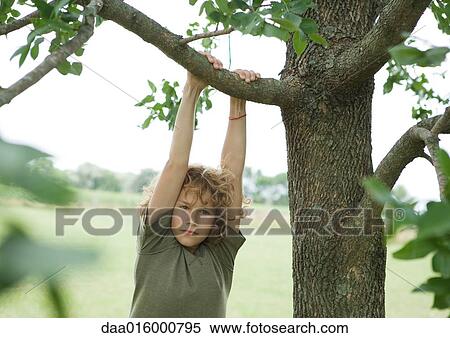 Boy hanging from tree View Large Photo Image Stock Photography - Boy hanging from tree. Fotosearch