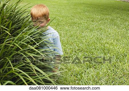Boy hiding behind tall grass View Large Photo Image Stock Photograph - Boy hiding behind tall grass. Fotosearch