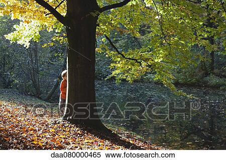 Boy hiding behind tree in autumn View Large Photo Image Stock Photography - Boy hiding behind tree in autumn. Fotosearch