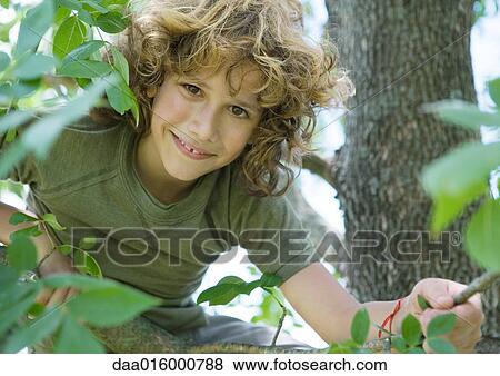 Stock Photo - Boy in tree. Fotosearch