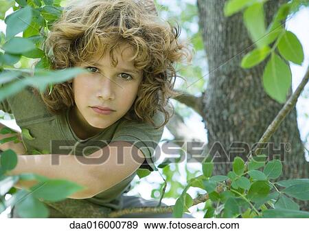 Boy in tree View Large Photo Image Stock Photo - Boy in tree. Fotosearch