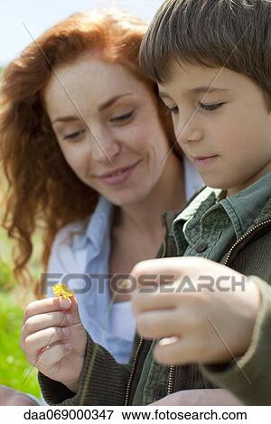 Boy looking at flower outdoors with his mother View Large Photo Image Stock Photo - Boy looking at flower outdoors with his mother. Fotosearch