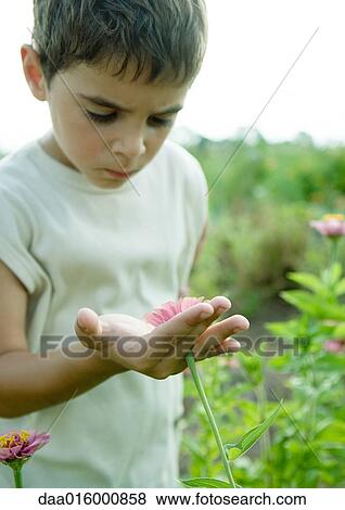 Stock Photo - Boy looking at flower. Fotosearch
