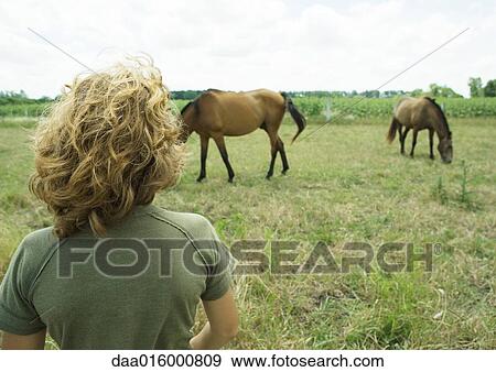 Boy looking at horses in field View Large Photo Image Stock Photo - Boy looking at horses in field. Fotosearch