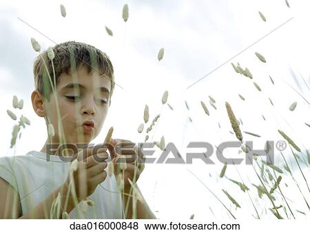 Stock Photo - Boy looking at weed. Fotosearch