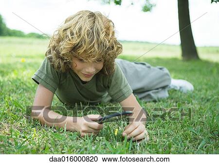 Boy lying in grass with magnifying glass View Large Photo Image Stock Image - Boy lying in grass with magnifying glass. Fotosearch
