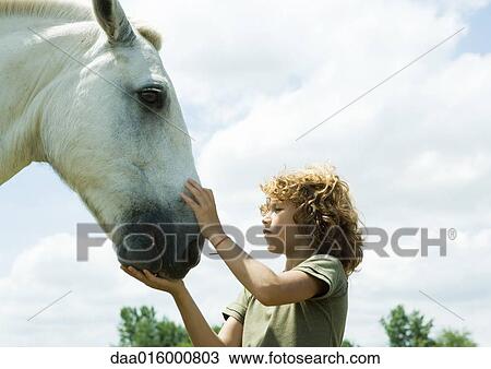 Boy petting horse View Large Photo Image Stock Image - Boy petting horse. Fotosearch