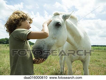 Boy petting horse View Large Photo Image Stock Image - Boy petting horse. Fotosearch