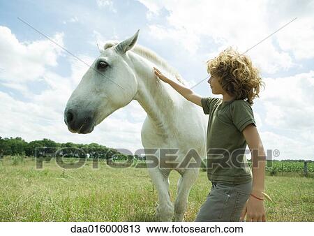 Boy petting horse View Large Photo Image Stock Image - Boy petting horse. Fotosearch