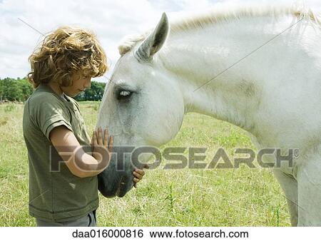 Stock Photograph - Boy petting horse. Fotosearch