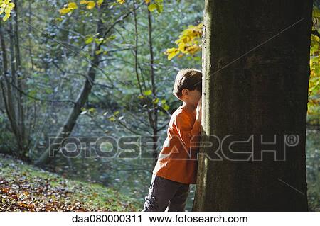 Boy playing hide-and-seek in woods View Large Photo Image Stock Image - Boy playing hide-and-seek in woods. Fotosearch
