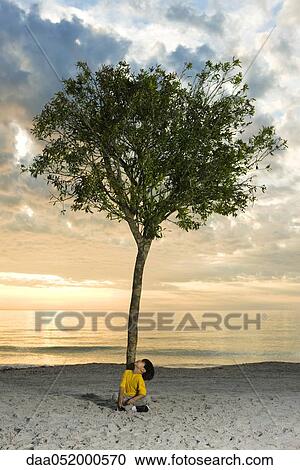 Stock Image - Boy sitting beneath tree on beach. Fotosearch