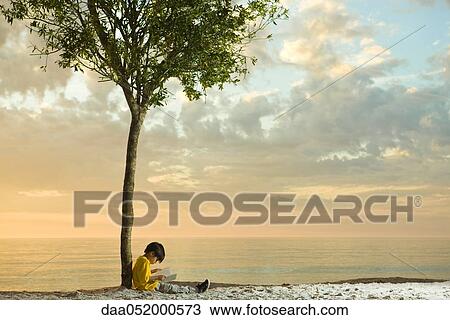 Stock Image - Boy sitting beneath tree on beach reading book. Fotosearch