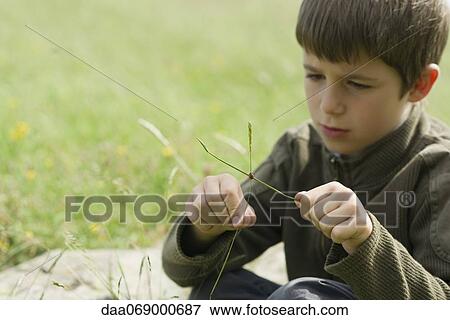Boy sitting in grass, watching ladybug crawling on twig View Large Photo Image Stock Photo - Boy sitting in grass, watching ladybug crawling on twig. Fotosearch
